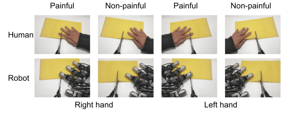 L'immagine usata nella ricerca