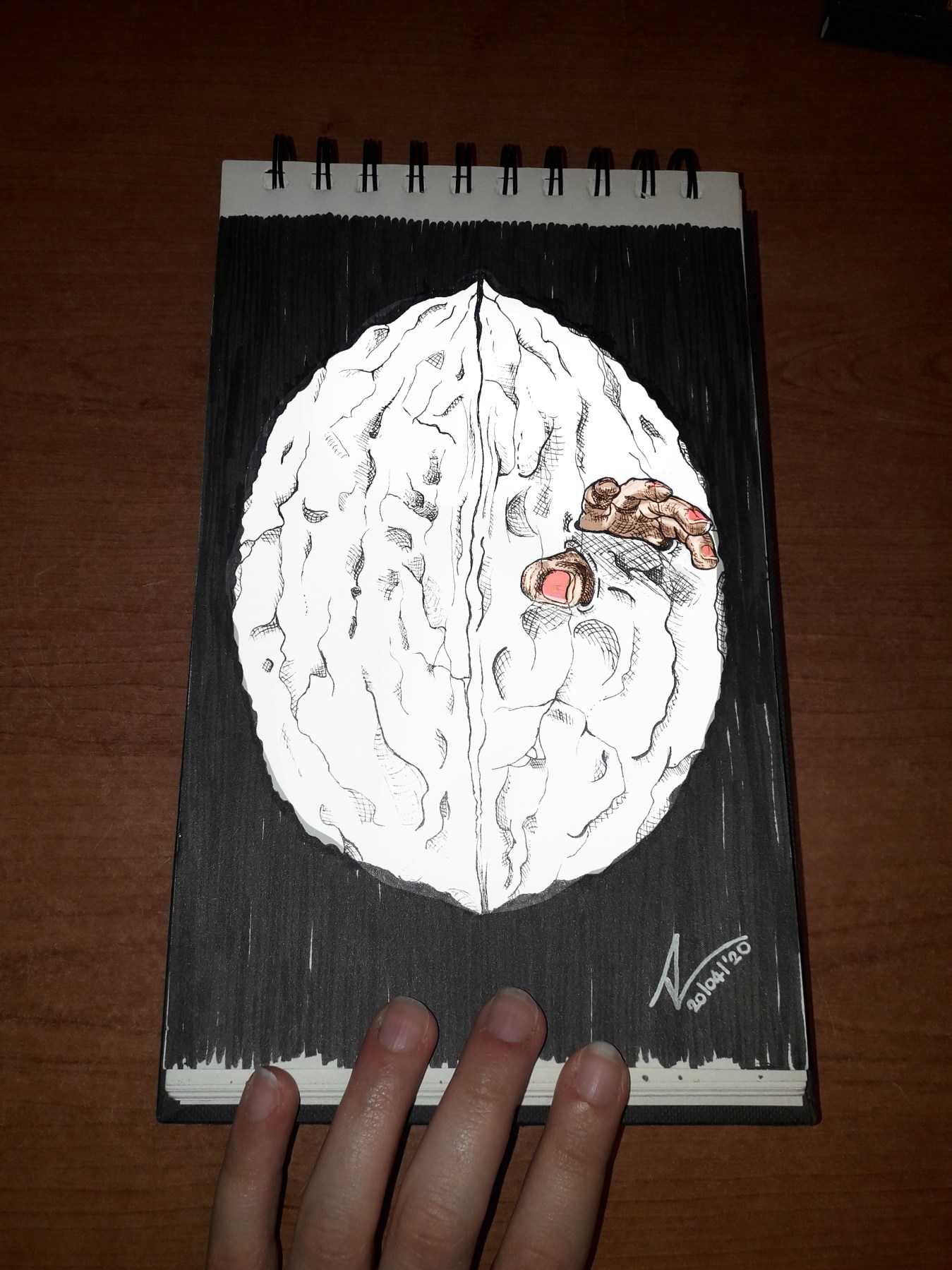 Il guscio - Poesia e disegno