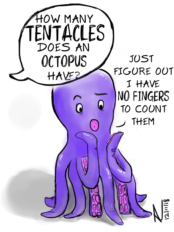 Octo's dyscalculia